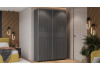 Шкаф-купе с 2 глухими дверями «Оскар Хилтон» Ручка серебро, Серый графит, Графит матовый