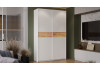 Шкаф-купе с 2 глухими дверями «Оскар Скания» Ручка белая, Белый снег, Дуб тортугга