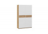 Шкаф-купе с 2 глухими дверями «Оскар Скания» Ручка белая, Дуб Крафт золотой, Белый снег, Дуб тортугга