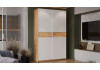 Шкаф-купе с 2 глухими дверями «Оскар Скания» Ручка белая, Дуб Крафт золотой, Белый снег, Дуб тортугга