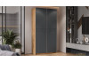 Шкаф-купе с 2 глухими дверями «Оскар Скания» Ручка серебро, Дуб Крафт золотой, Серый графит, Графит матовый