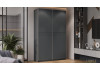Шкаф-купе с 2 глухими дверями «Оскар Скания» Ручка серебро, Серый графит, Графит матовый