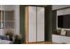 Шкаф-купе с 2 глухими дверями «Оскар Скания» Ручка черная, Дуб Крафт золотой, Белый снег, Белый матовый